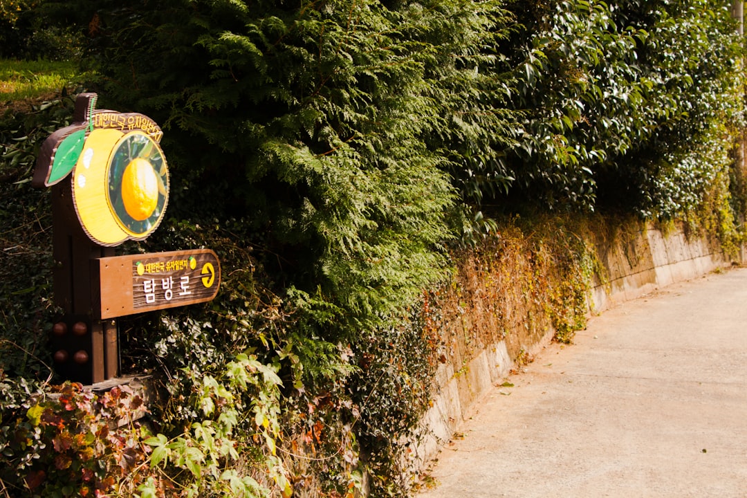 blog_3
